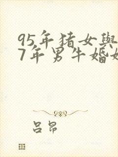 95年猪女与97年男牛婚姻怎样