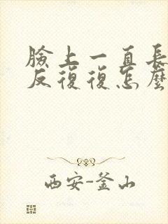 脸上一直长痘反反复复怎么办