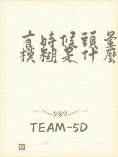 有时候头晕视力模糊是什么原因