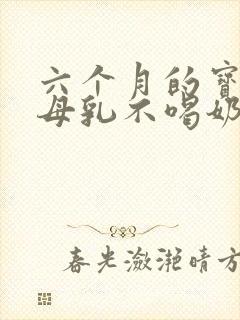 六个月的宝宝断母乳不喝奶粉怎么办