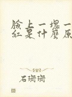 脸上一块一块的红是什么原因