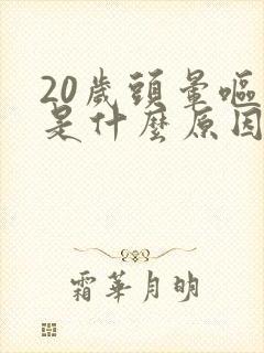 20岁头晕呕吐是什么原因引起的