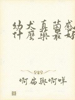 幼犬真菌感染用什么药最好