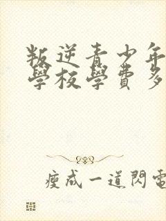 叛逆青少年特训学校学费多少