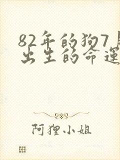 82年的狗7月出生的命运封面