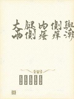 大腿内侧与阴囊两侧瘙痒潮湿发黑用什么药