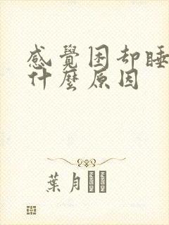 感觉困却睡不着什么原因