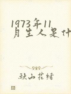 1973年11月生人是什么命