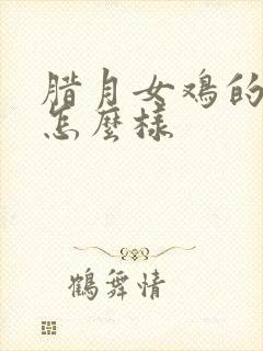 腊月女鸡的命运怎么样