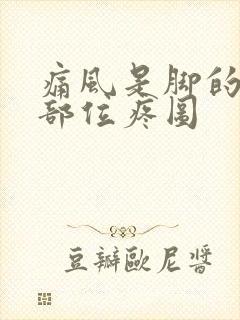 痛风是脚的哪个部位疼图