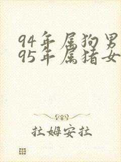 94年属狗男与95年属猪女婚配封面