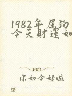 1982年属狗今天财运如何封面