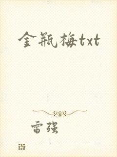 金瓶梅txt封面