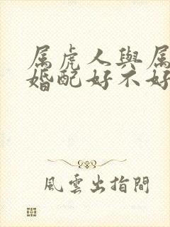 属虎人与属兔人婚配好不好封面