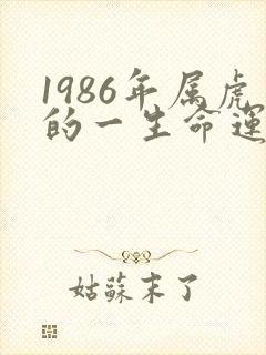 1986年属虎的一生命运