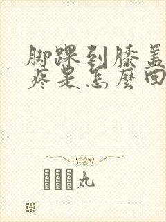 脚踝到膝盖之间疼是怎么回事