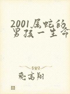2001属蛇的男孩一生命运如何