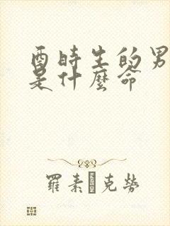 酉时生的男孩子是什么命