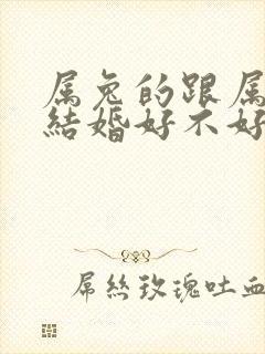 属兔的跟属马的结婚好不好