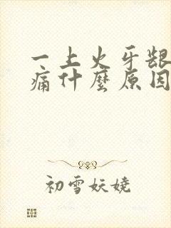 一上火牙龈就肿痛什么原因封面