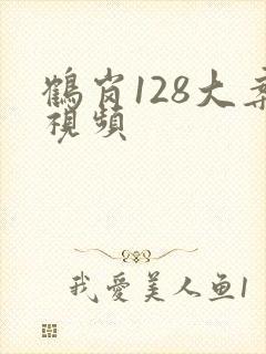 鹤岗128大案视频