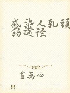 感染人乳头病毒的途径