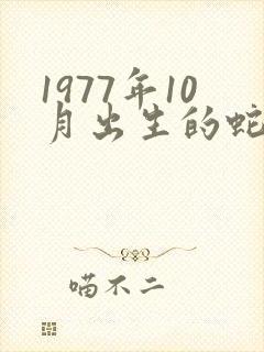 1977年10月出生的蛇命运