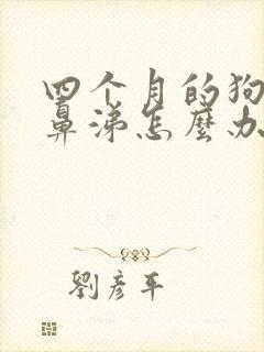 四个月的狗流黄鼻涕怎么办