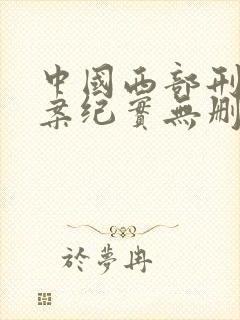 中国西部刑侦大案纪实无删减