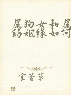 属狗女和属牛男的姻缘如何