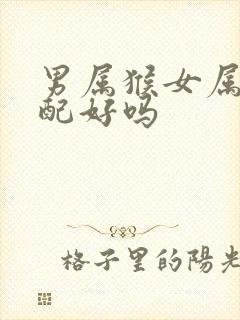 男属猴女属龙婚配好吗封面