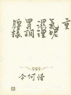 脾胃湿气重该怎样调理呢