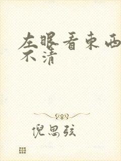 左眼看东西模糊不清