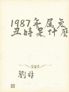 1987年属兔丑时是什么命女生