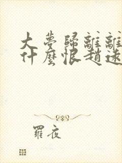 大梦归离离仑为什么恨赵远舟