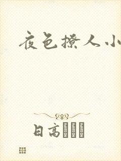 夜色撩人小说