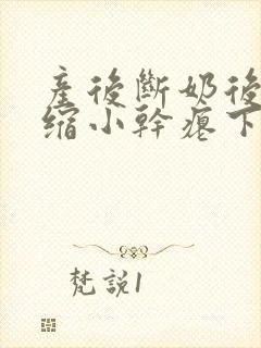 产后断奶后乳房缩小干瘪下垂怎么办