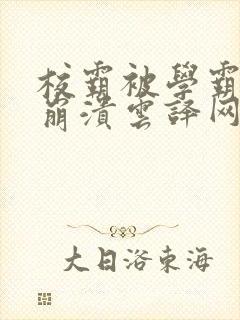 校霸被学霸玩到崩溃云译网