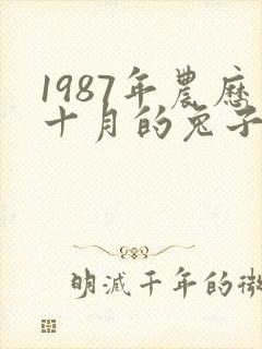 1987年农历十月的兔子什么命