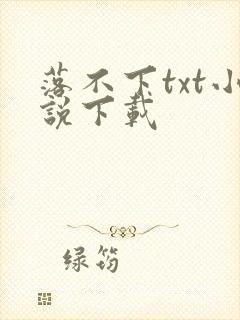 落不下txt小说下载
