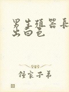 男生殖器长痘挤出白色