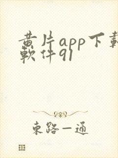 黄片app下载软件91