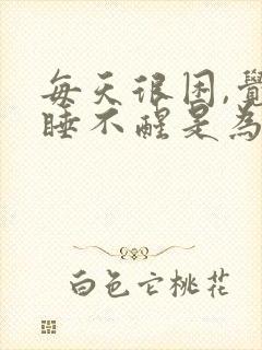 每天很困,觉得睡不醒是为什么