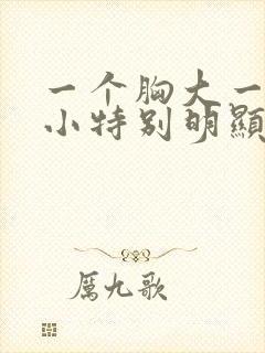 一个胸大一个胸小特别明显怎么办