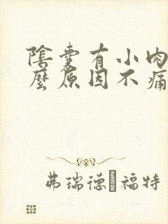 阴囊有小肉粒什么原因不痛不痒