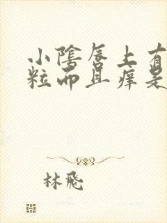 小阴唇上有小颗粒而且痒是怎么回事