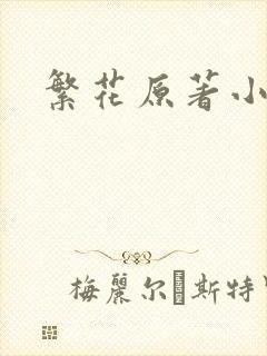 繁花原著小说
