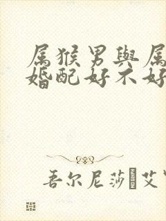 属猴男与属马女婚配好不好