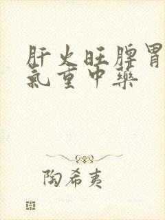 肝火旺脾胃虚湿气重中药