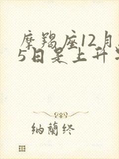 摩羯座12月25日是上升星座是什么